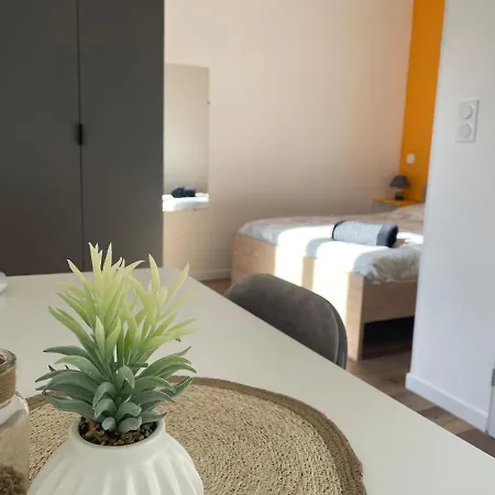 Апартаменты Le Cactus Grand Neuf Proche Gare *